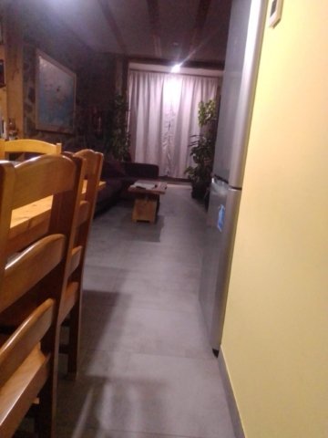 Planta